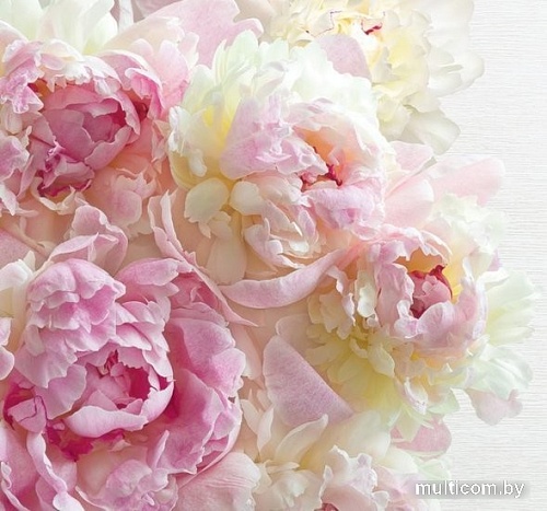 Фотообои Твоя планета Люкс Пионы