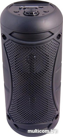 Беспроводная колонка Magic Acoustic Allegro BK1001