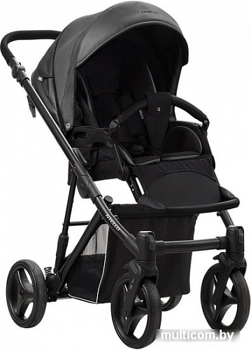 Универсальная коляска BEBETTO Nitello Shine (2 в 1, 04)