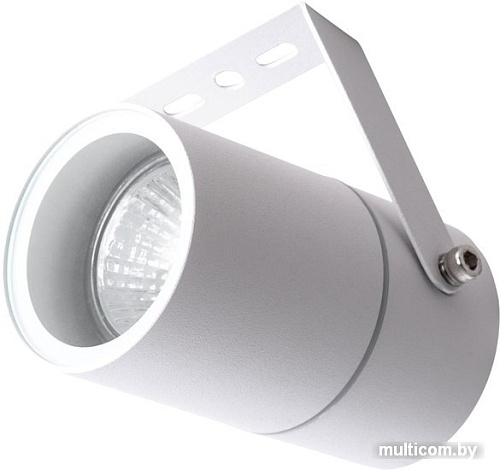 Уличный прожектор Arte Lamp Mistero A3303AL-1WH