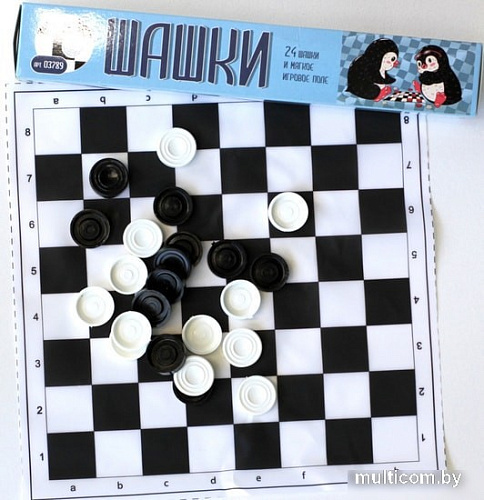 Шашки Десятое королевство 03789