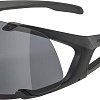 Солнцезащитные очки Alpina Hawkeye A8692331 (black matt/mirror black)