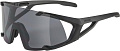 Солнцезащитные очки Alpina Hawkeye A8692331 (black matt/mirror black)