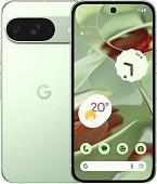Телефон Google Pixel 9 12GB/256GB (винтергрин)