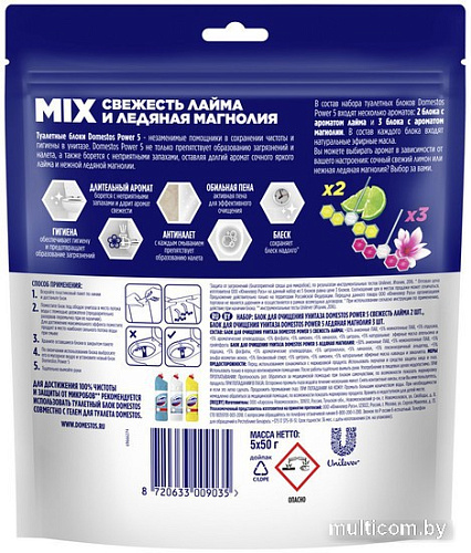 Средство для унитаза Domestos Power 5 Свежесть лайма+Ледяная магнолия (2x50г+3x50г)