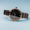 Наручные часы Bering 30434-746