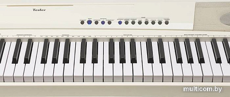 Цифровое пианино Tesler KB-8850 (белый)