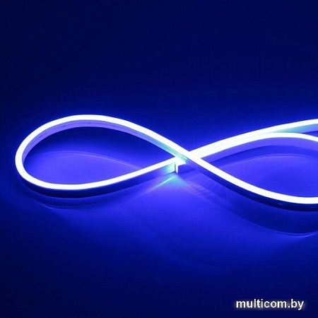 Гибкий неон ЭРА N2835-120-IP67-220V-20m-B