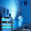 Ночник Philips Hue Iris (серебристый)