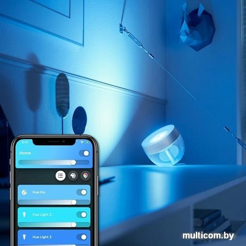 Ночник Philips Hue Iris (серебристый)