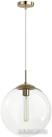 Подвесная люстра Lumion Summer 6509/1A