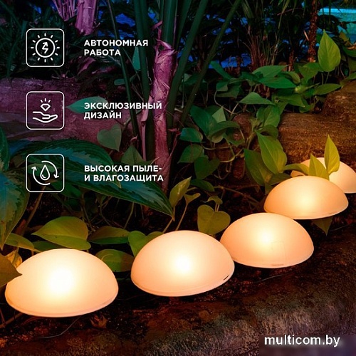 Садовая гирлянда Rexant Полусфера 602-2434