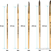 Набор кистей ArtSpace белка круглые № 1, 3, 5, 7, 9, 11 SB_3301 (6 шт)