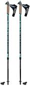 Треккинговые палки Masters Training 01N0619
