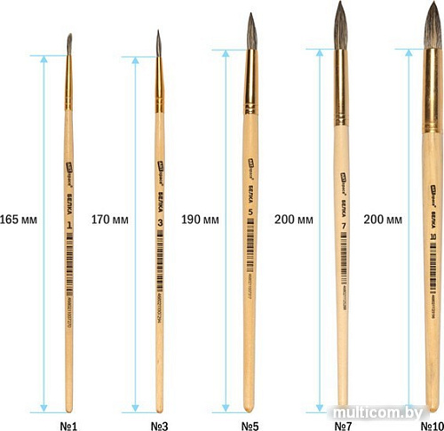 Набор кистей ArtSpace белка круглые № 1, 3, 5, 7, 9, 11 SB_3301 (6 шт)