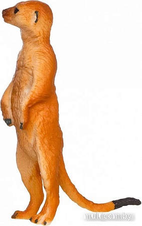 Фигурка Masai Mara Мир диких животных. Сурикат MM211-177