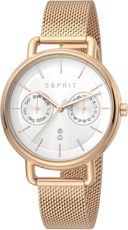 Наручные часы Esprit ES1L179M0095