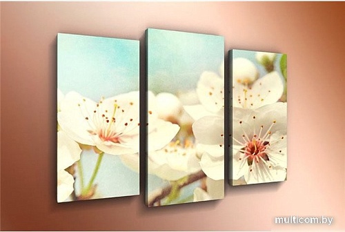 Модульная картина Arthata m-000475 120x80