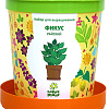 Набор для опытов Happy plant Фикус райский hpn-12