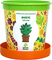 Набор для опытов Happy plant Фикус райский hpn-12