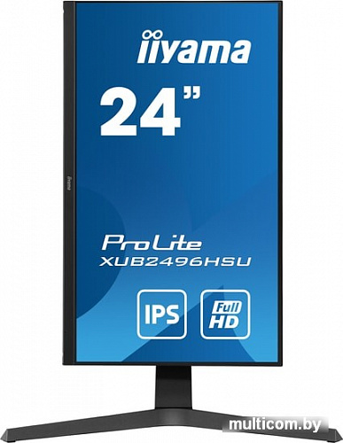 Монитор Iiyama ProLite XUB2496HSU-B1