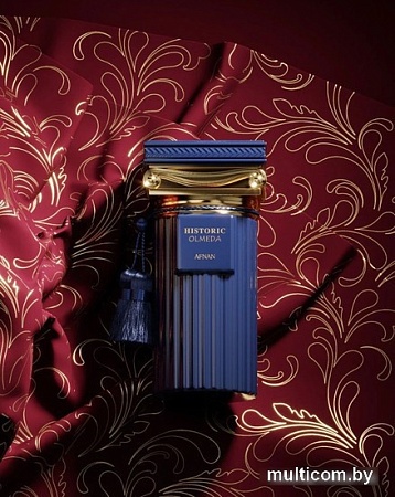 Парфюмерная вода Afnan Historic Olmeda EdP (100 мл)