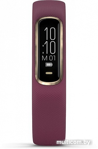 Фитнес-браслет Garmin Vivosmart 4 S/M (бордовый)