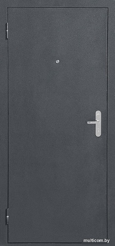 Металлическая дверь Guard Металл/металл Антик серебро (86x205, левая)