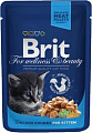 Корм для кошек Brit Premium Cat Pouches Chicken Chunks for Kitten 0.1 кг
