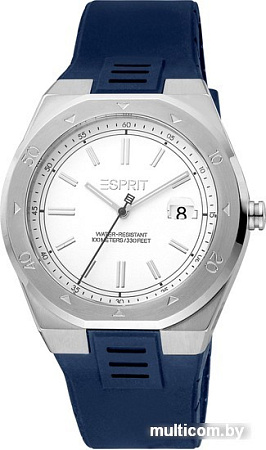 Наручные часы Esprit ES1G305P0055