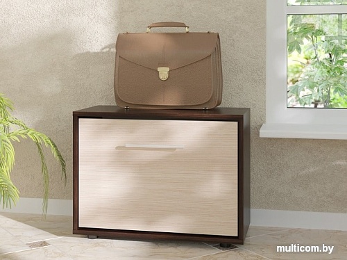 Сокол ТП-1 венге/беленый дуб