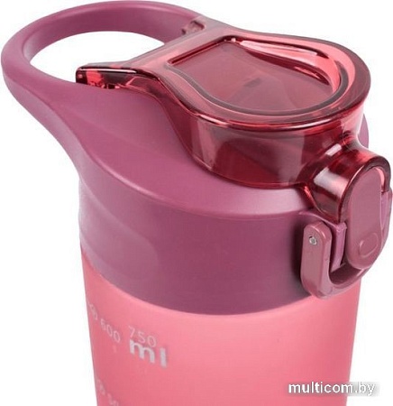 Бутылка для воды Darvish DV-H-1605-2 750мл (розовый)