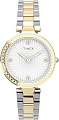 Наручные часы Timex Adorn TW2V24500