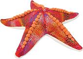 Классическая игрушка All About Nature Звезда K7426-PT