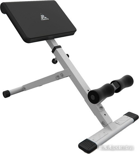 Гиперэкстензия DFC Homegym SJ1006 (белый)