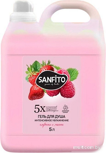 Sanfito Гель для душа Клубника и малина Интенсивное увлажнение (5 л)