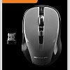 Мышь Canyon CNE-CMSW1G
