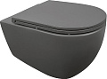 Унитаз Isvea Infinity 10NF02001