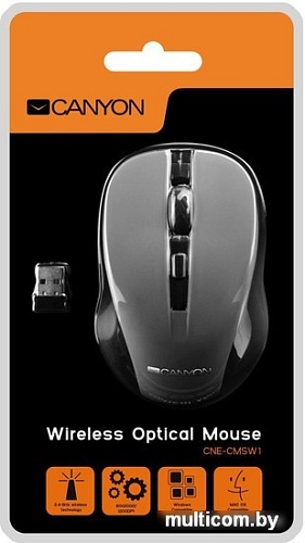 Мышь Canyon CNE-CMSW1G
