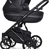 Универсальная коляска Riko Basic Delta Ecco (2 в 1, 15/black)