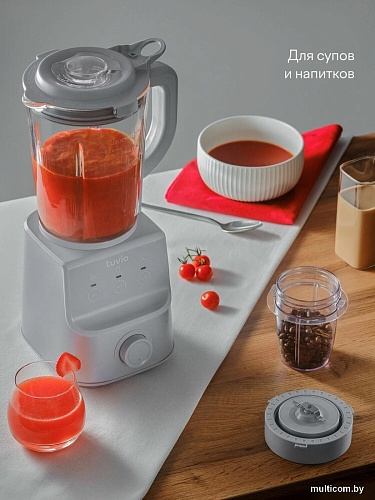 Стационарный блендер Tuvio TSB03MCG