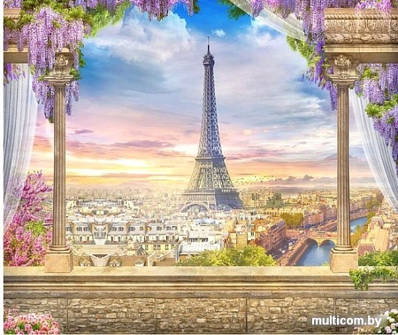 Фотообои Citydecor Вид на Париж с защитным покрытием 300x254