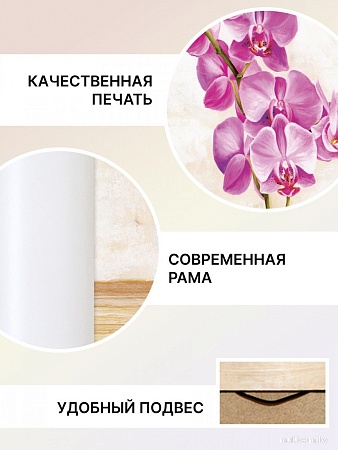 Картина Декарт 8Л0959