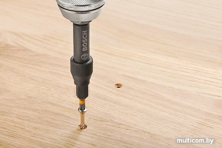 Набор оснастки Bosch 2607002786 (20 предметов)