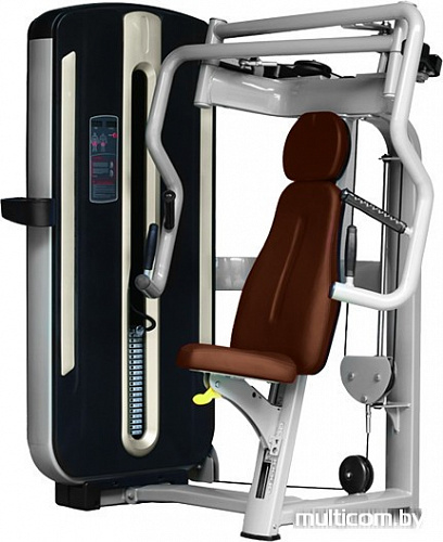 Силовая станция Bronze Gym MNM-001