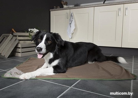 Коврик (подстилка) Scruffs Insect Shield 937188 (коричневый)