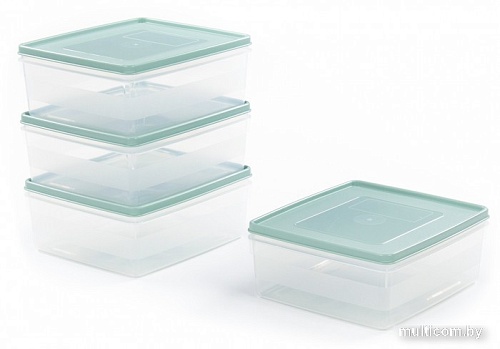 Набор контейнеров Полесье №13 2л с крышками 73713 (4 шт, прозрачный/бледно-оливковый)