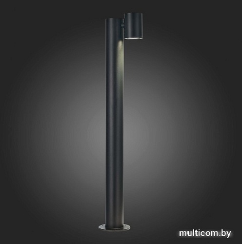 Фонарный столб ST Luce Visioni SL9003.405.01