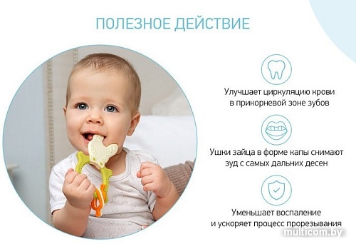 Сортер Roxy Kids Bunny Teether RBT-001GN (зеленый)