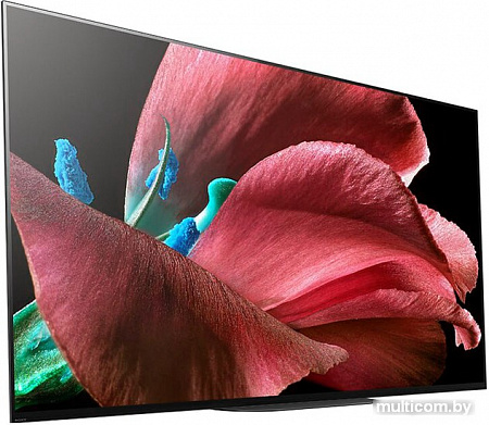 Телевизор Sony KD-65AG9